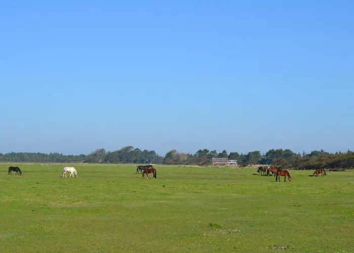 Lin - 2-9km From The Sea By Interhome Casa vacanze Toftum (Syddanmark)